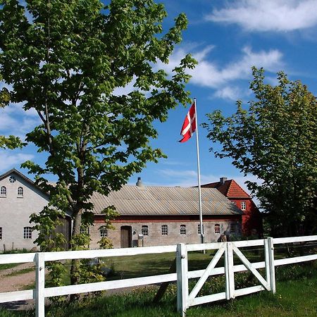 Nordkap Farm Holiday & Hostel Bindslev Esterno foto