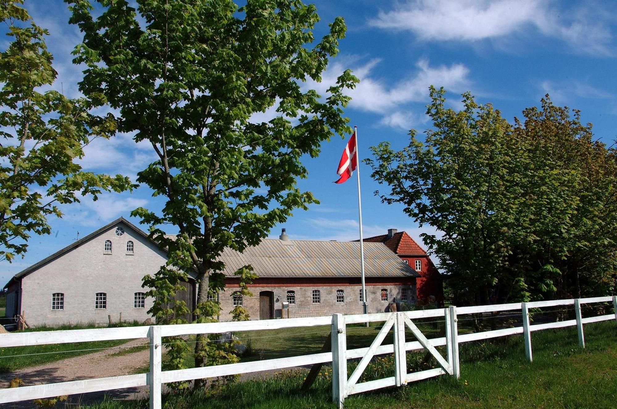 Nordkap Farm Holiday & Hostel Bindslev Esterno foto